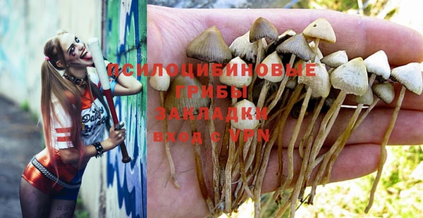 мдма Богданович
