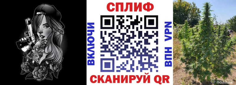 Конопля Amnesia  Купить закладки  Сычёвка 